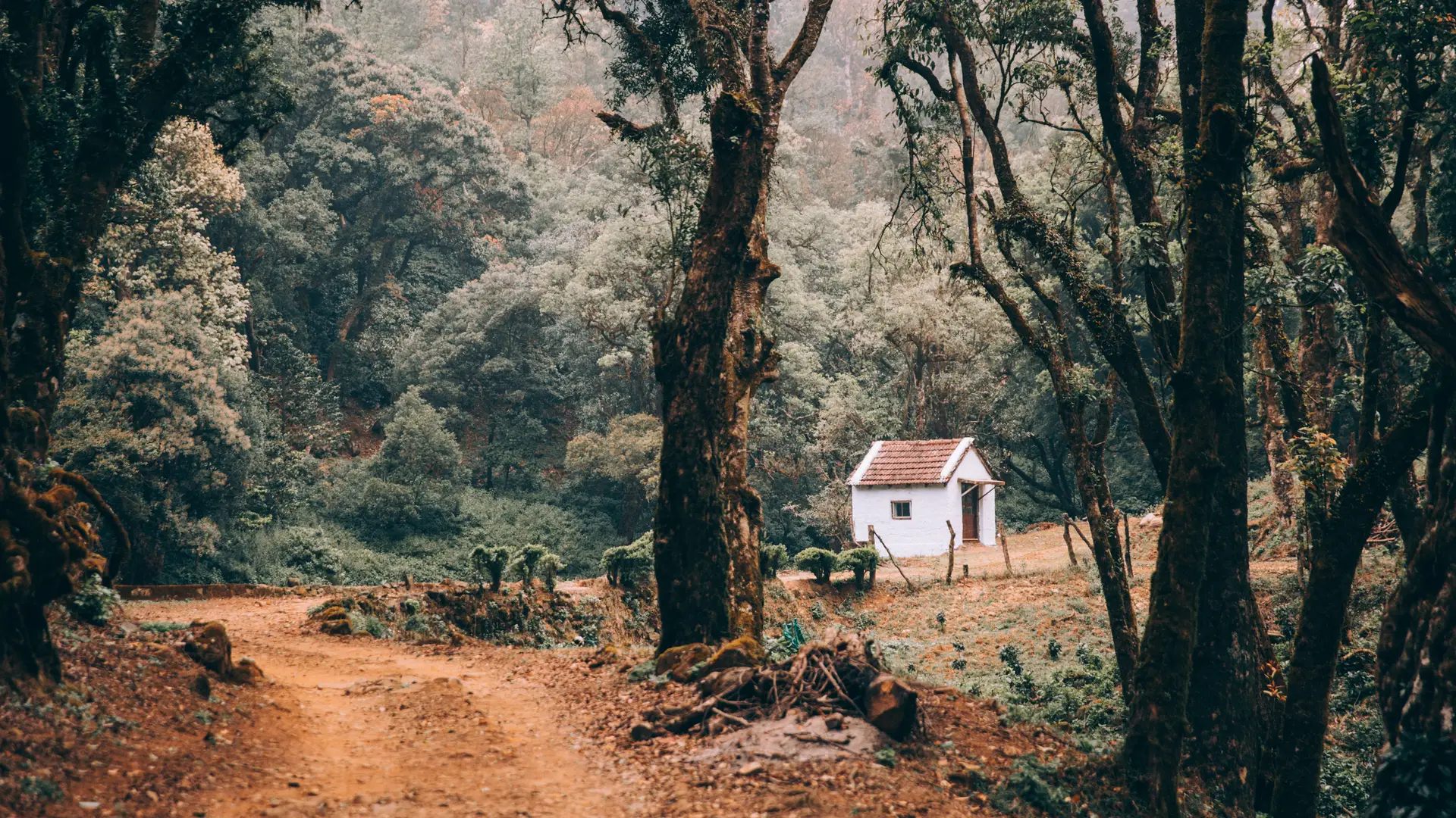 A remote rural cottage at the end of a dirt road, the kind of off-grid site the 5L outdoor water heater is specified for