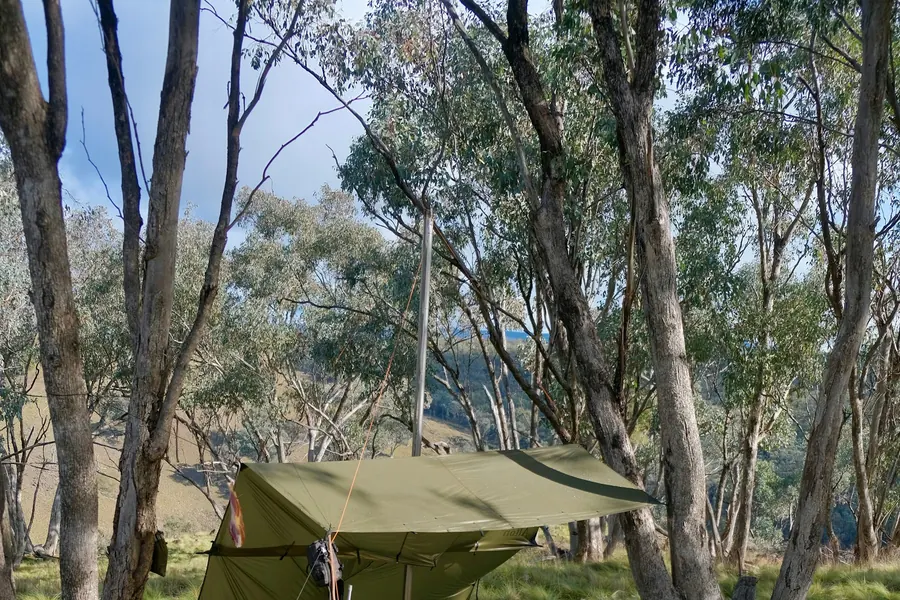 A tarp shelter pitched among trees at a wooded campsite
