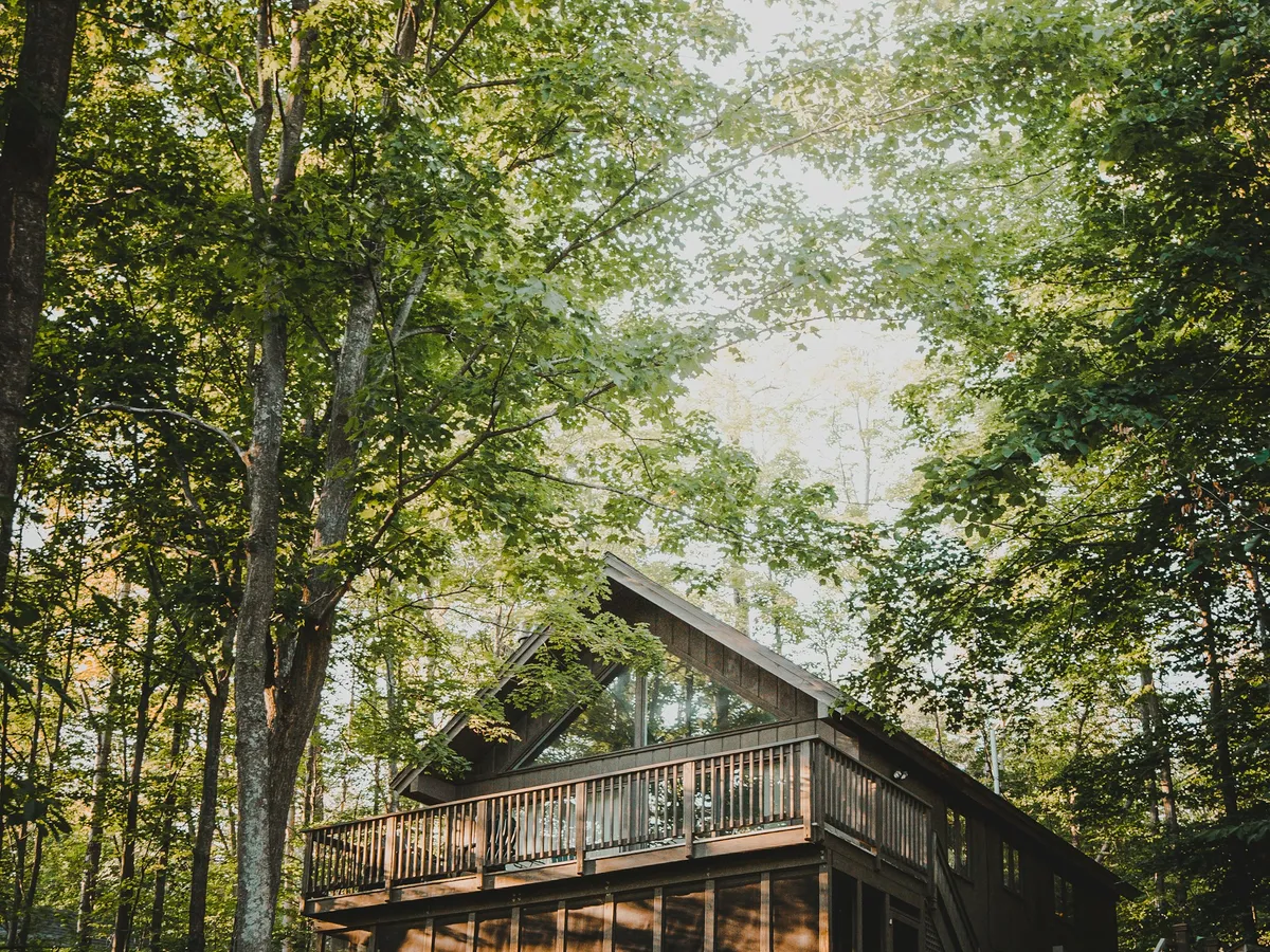 A timber cabin on posts among tall trees, reached by a wooden walkway