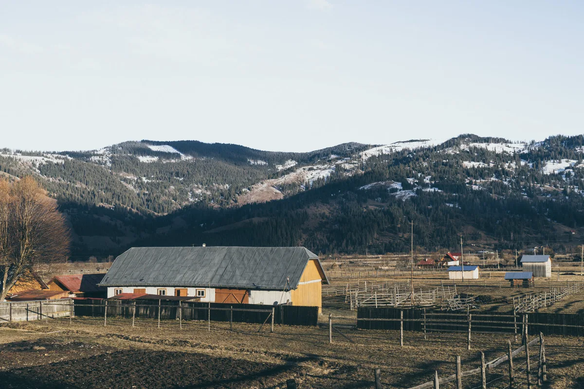 A barn and paddocks on a working farm, seen from the far side of the field