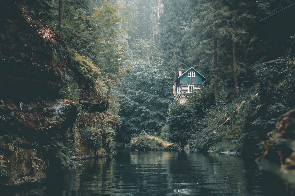 A timber cabin standing at the edge of a calm forest river