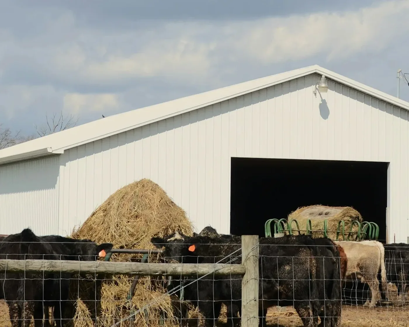 A cattle barn with hay and a fence line in front of it, a farmyard wash point